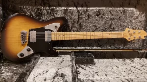 Sugi / 2017 / DS499M